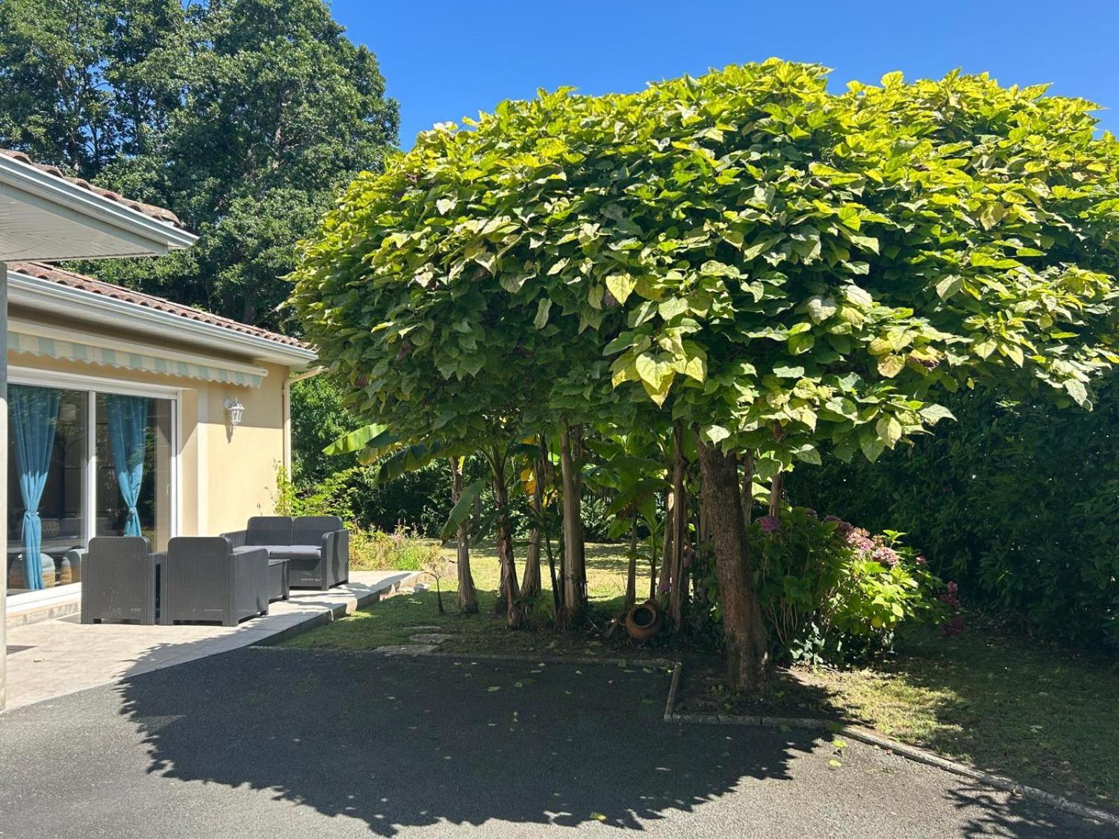 Jolie Maison Le Teich Bassin Park/Wifi Exterior foto