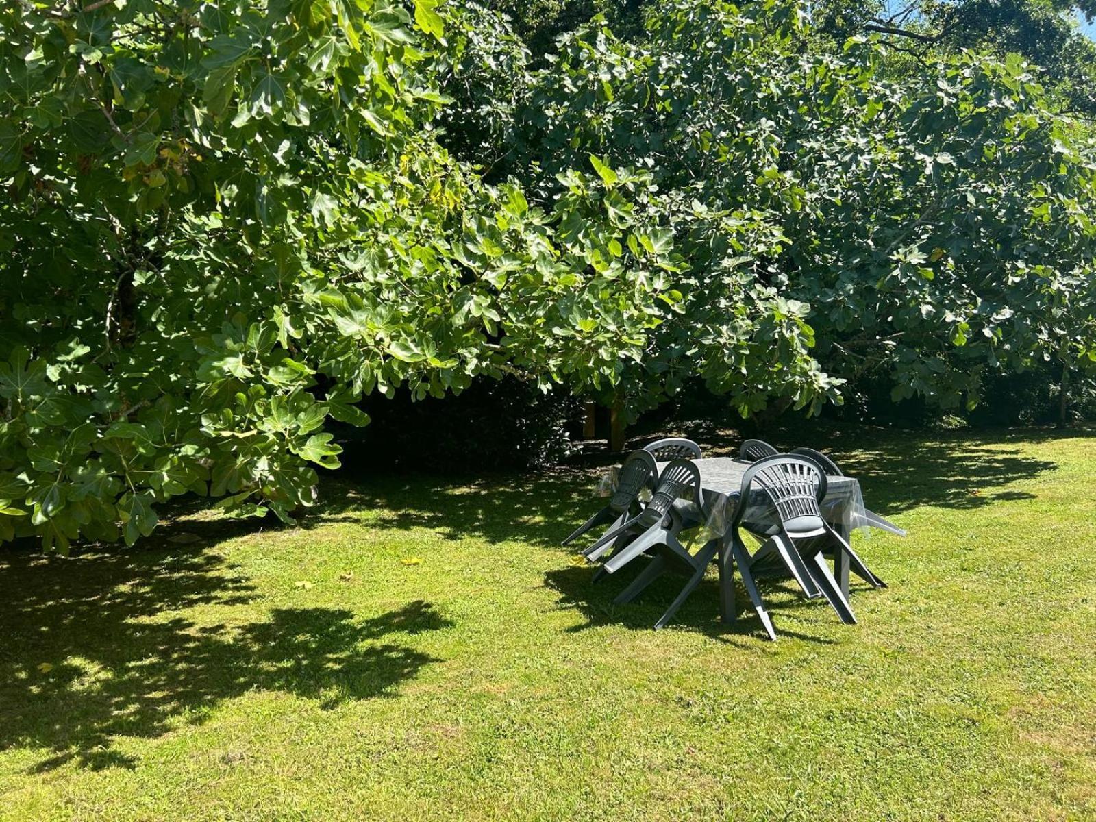 Jolie Maison Le Teich Bassin Park/Wifi Exterior foto